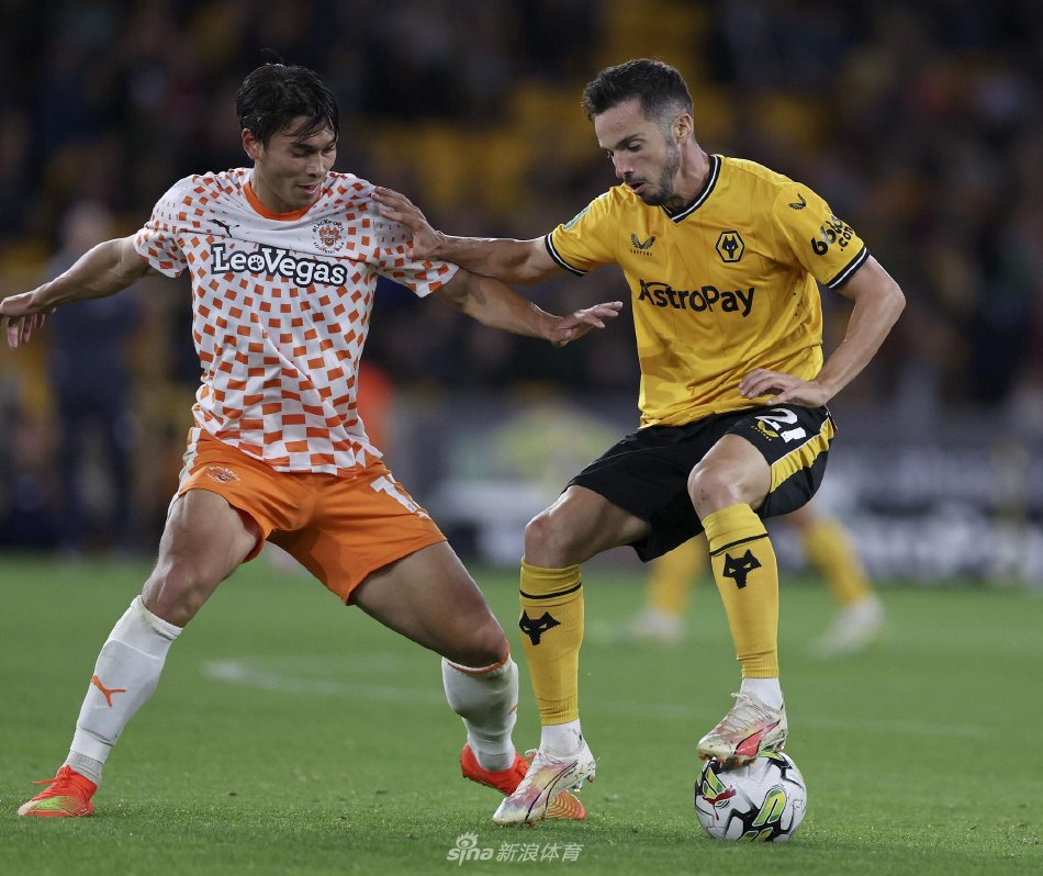 想起以往李 想起以往李