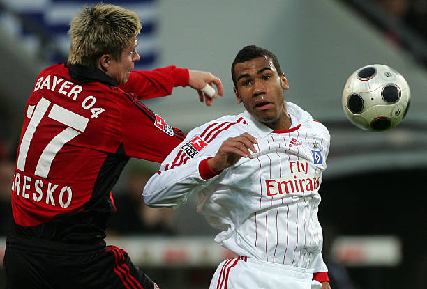 毛球培养更 毛球培养更